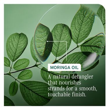 All-In-One Multi-Benefit Oil - Biolage Renovation NZ | L'Oréal Partner Shop